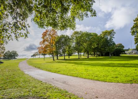 Park, a narrow path and trees